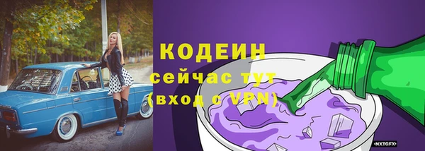 винт Абаза