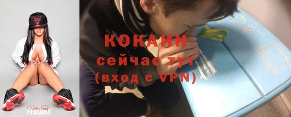 винт Абаза