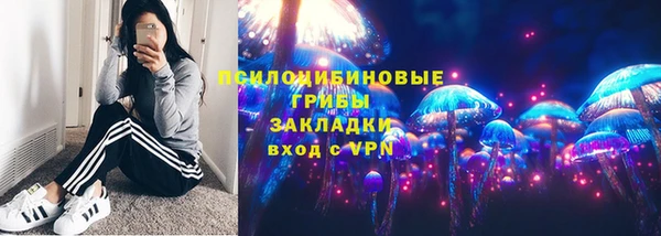 винт Абаза