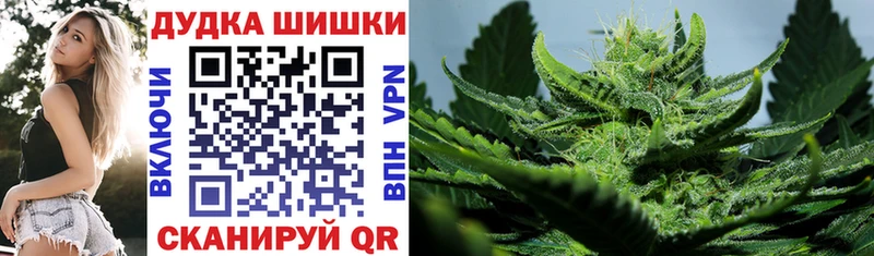 Бошки марихуана сатива  Оренбург 